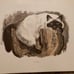 Kuhn duotone primt Himalayan cat hand colored