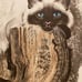 Kuhn duotone primt Himalayan cat hand colored