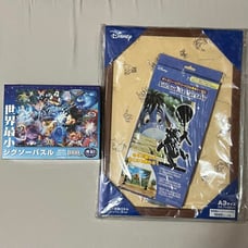 Disney New Exclusive Frame - Eagle / World's Smallest Jigsaw Puzzle 1000 Pieces