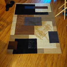 BRAND NEW AREA RUG, purchased today (3/29)