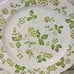 4 1970s Vintage Petite Flora Ironstone Dinner plates made in Japan for Sears