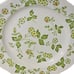 4 1970s Vintage Petite Flora Ironstone Dinner plates made in Japan for Sears