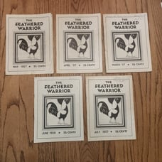 The Feathered Warrior