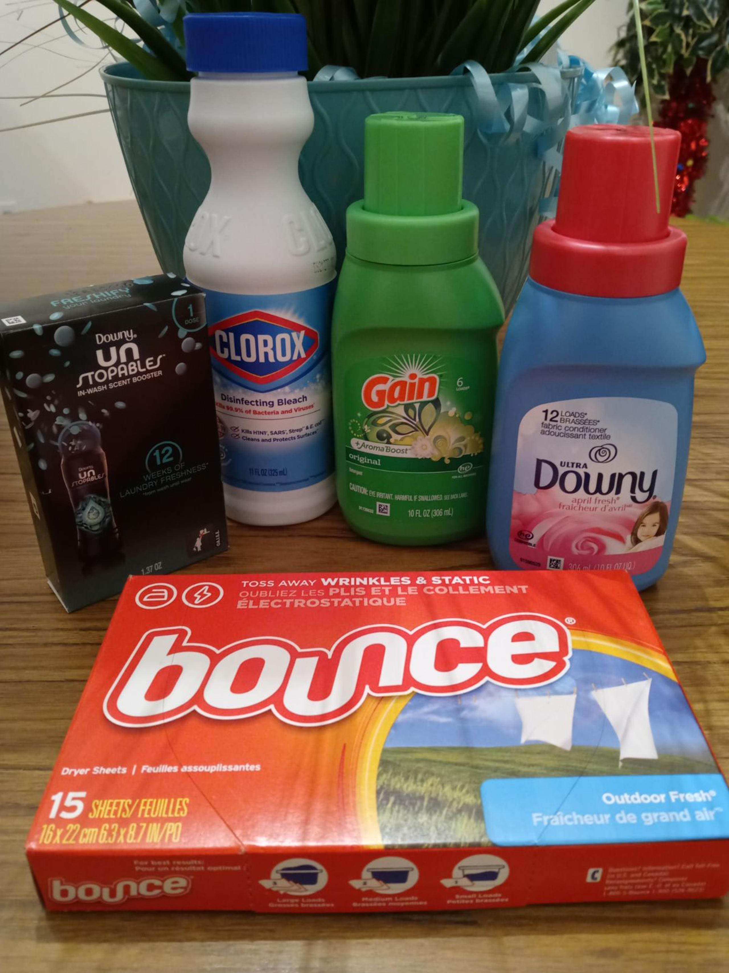 5pc Travel Size Household Laundry Bundle