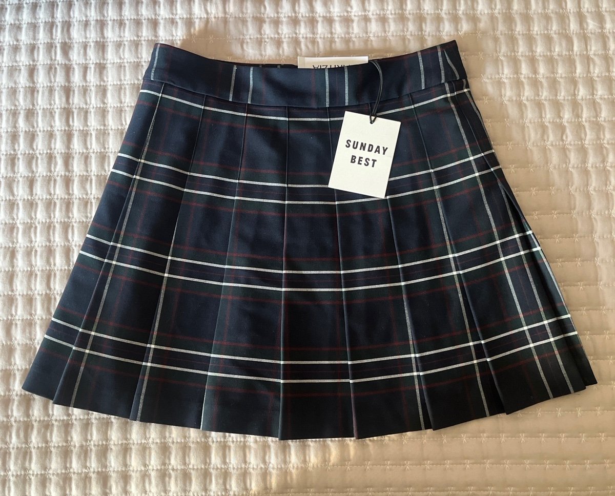 Aritzia Skirt