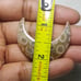 Fossil Coral Moon Shape-MSL-11