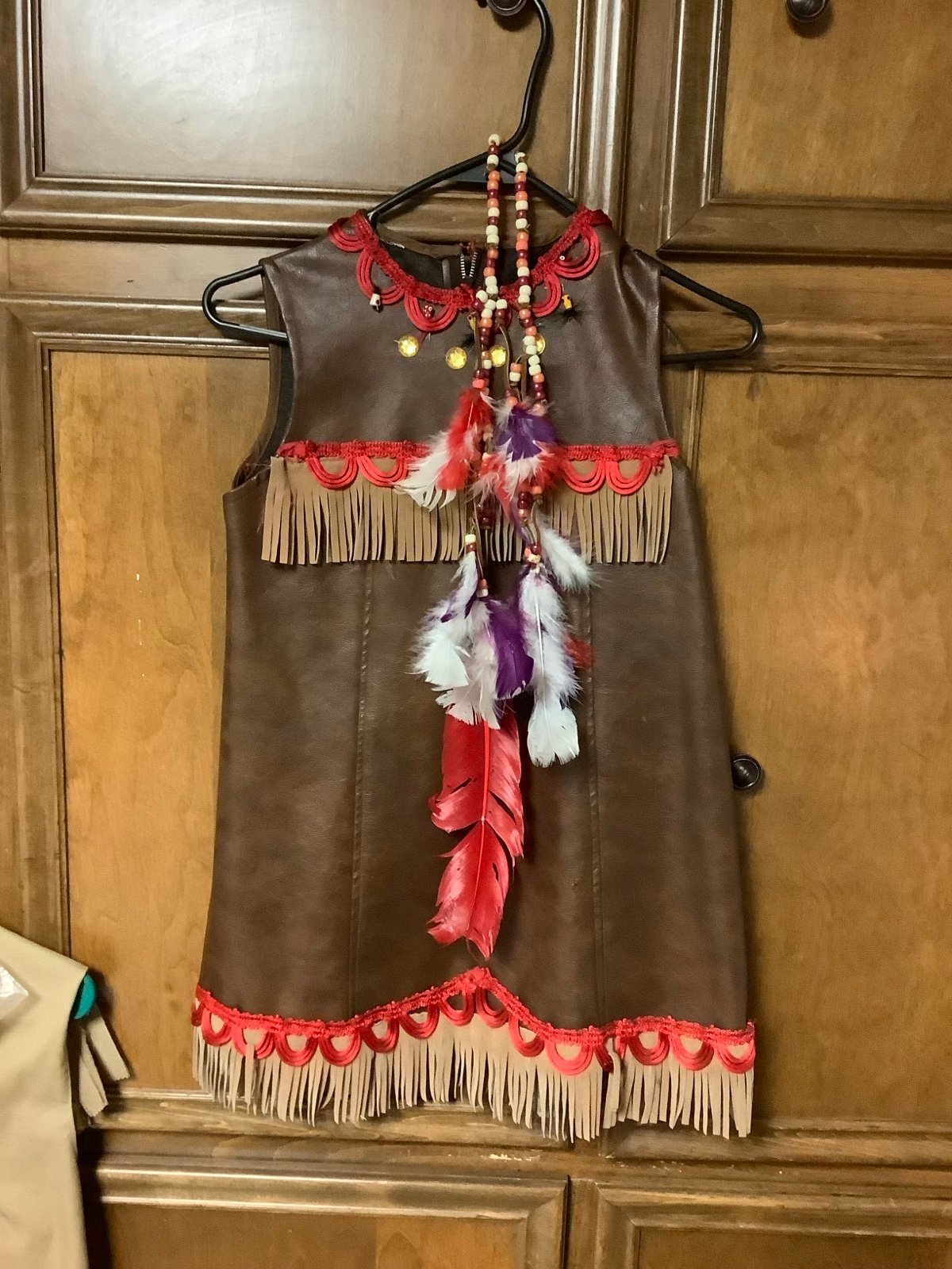 NATIVE AMERICAN DRESS Costume