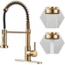 Gold Kitchen Faucet,Commercial Stainless Steel Single Handle Pull Down