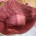 Coach Taylor Tote 38312 SV/Peony NWT