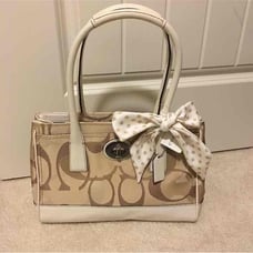 NWT Coach Madeline bag