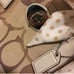 NWT Coach Madeline bag