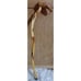 Handmade Diamond Willow Walking Cane Stick Northern Minnesota Unique Gift New