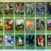 Bella Sara - Baby Bella Series Complete Common Set (1-43)
