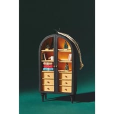 Anthropologie Fern Cabinet Ornament Bookcase Dollhouse NEW