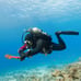 Underwater Metal Detector Pulse Pinpointer Induction Diving Treasure Coil Tool