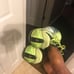 Track spikes