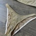 Triangl Mika Gold Bikini