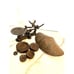Antique Cast Iron Balance Scale With Weights And Pan