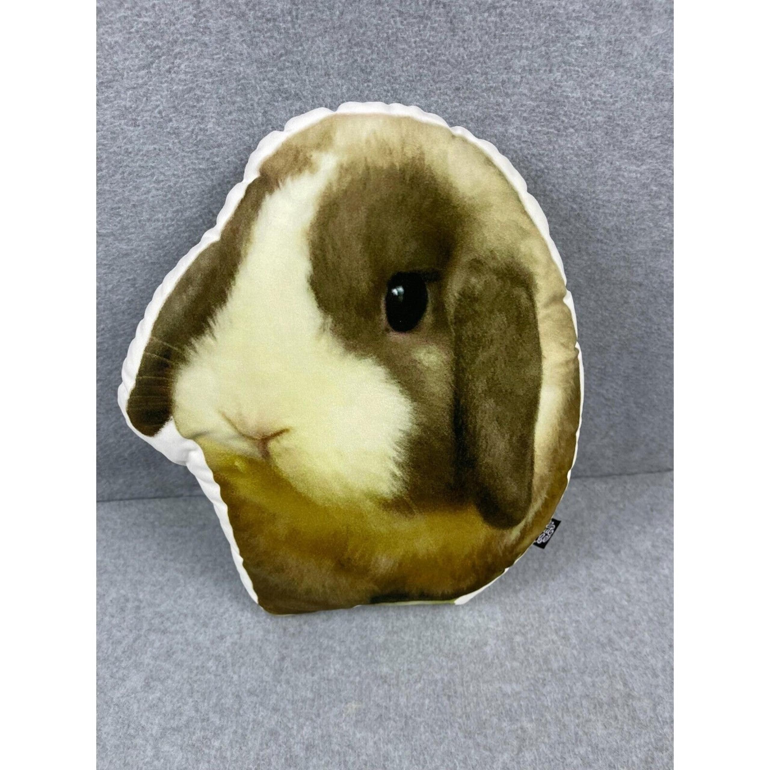 All About Vibe Bunny Rabbit Throw Pillow Pet Lover Decoration 14" Tall