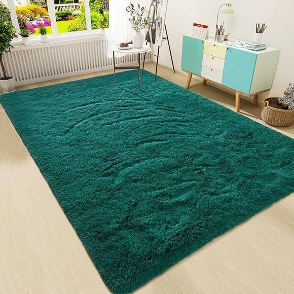 NEW Luxury Fluffy Area Rug Modern Shag Rugs for Living Room, 4x6 Aqua Green
