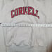 Champion Reverse Weave Cornell Hoodie Sz Small Heather Grey Collegiate Spellout