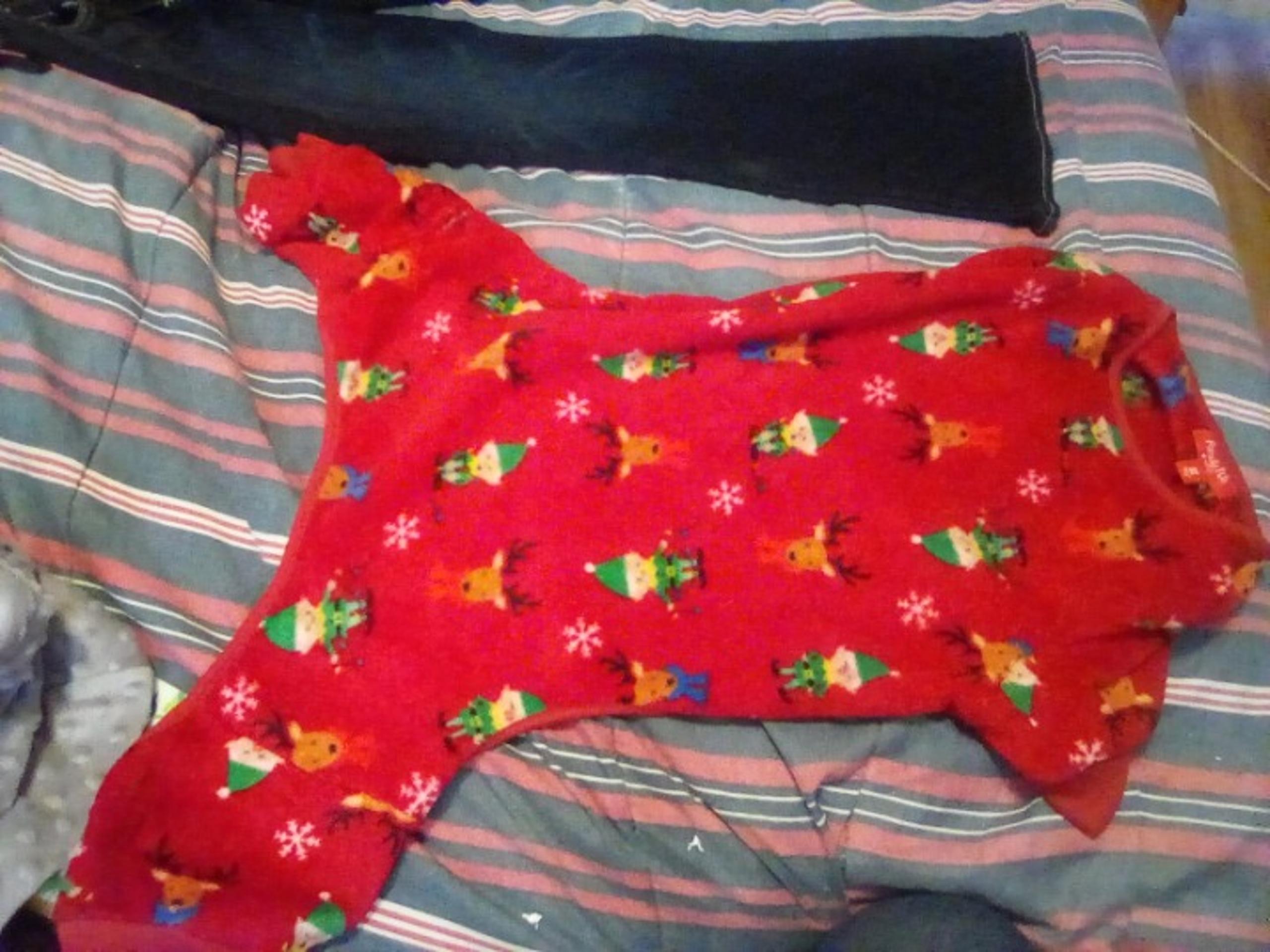 Pet pjs