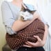 Mowry Pet Carrier