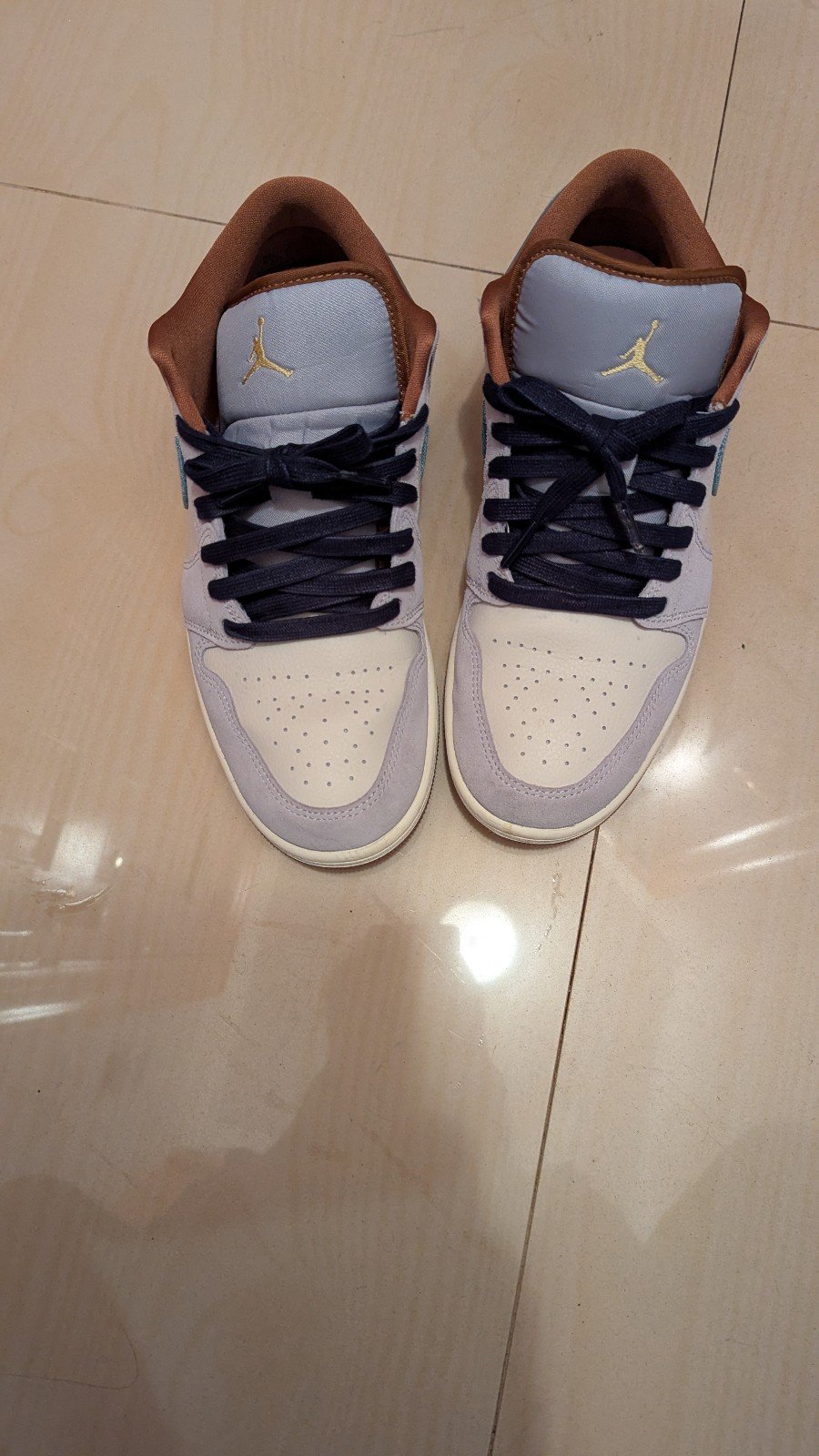 Air Jordan 1 SE