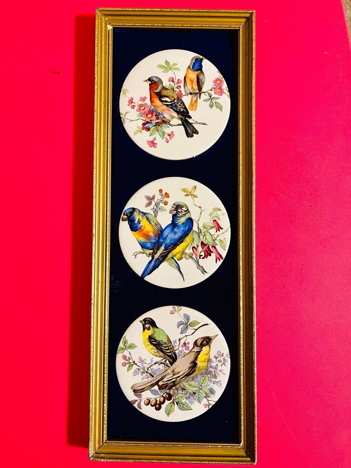 Vintage Harleigh China Birds Plaque Staffordshire Ceramic Framed Ornate Velvet