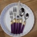 Mikasa Laslo Prisma Amethyst purple/gold trim flatware setting - 5 pieces NEW