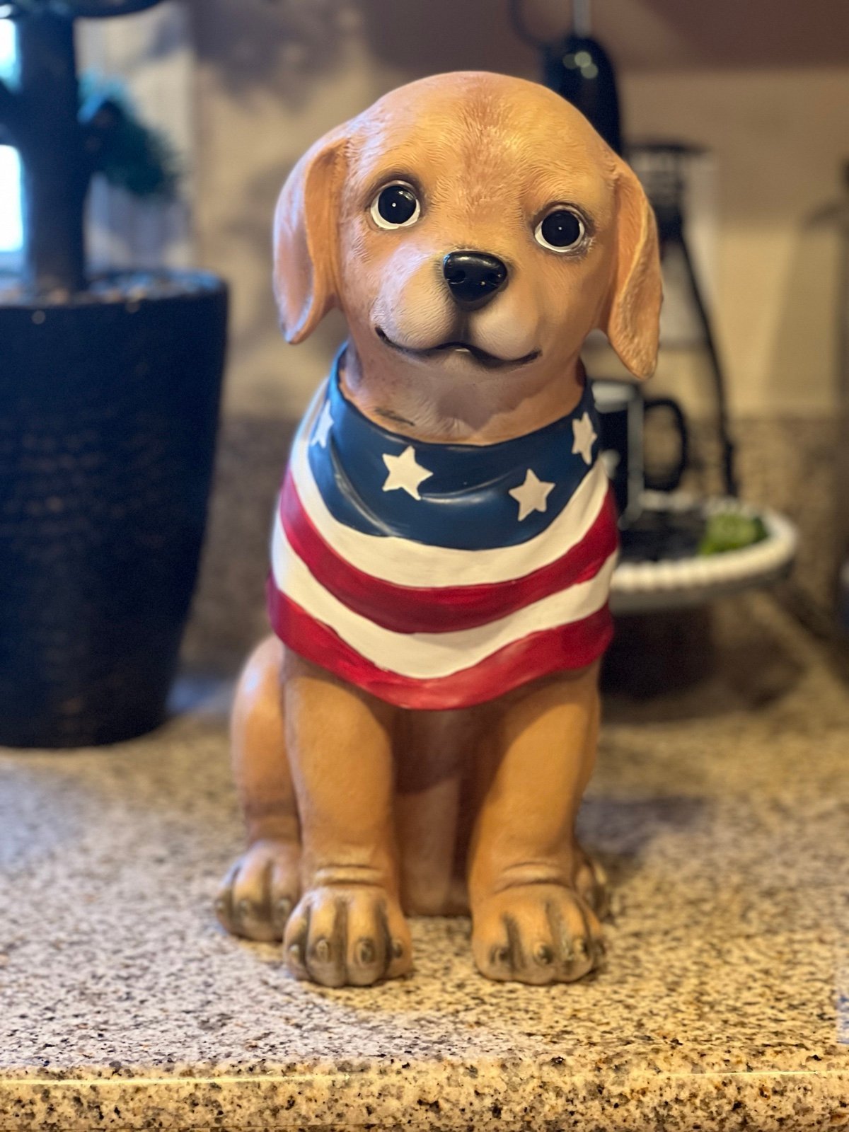 Patriotic dog