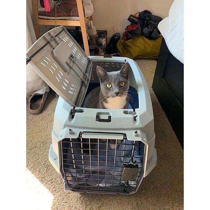 2-Door Top Load Hard-Sided Dog and Cat Kennel Travel Carrier 23-Inch
