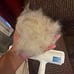 Roller Pet Hair Remover, Reusable Lint Roller, Multi-Surface Fur Removal Tool
