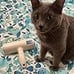 Roller Pet Hair Remover, Reusable Lint Roller, Multi-Surface Fur Removal Tool