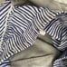 anthropologie Maeve Boxer Detail Pleat-Front Trousers size XL gray new nwt