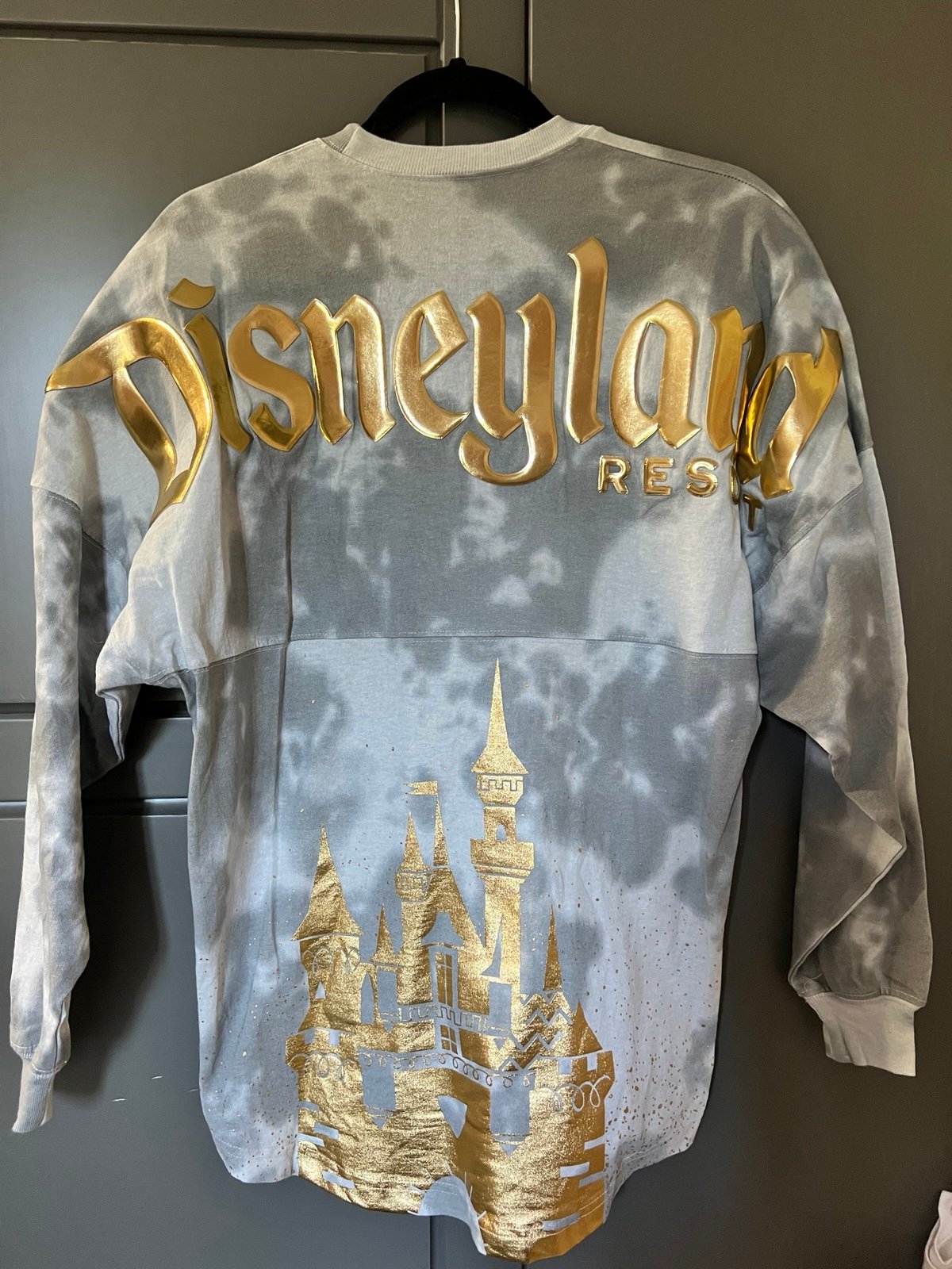 Disneyland Spirit Jersey XS