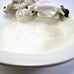 Pierrot Harlequin Taste Setter Sigma Ceramic The Clown Dish Bowl 9 inches
