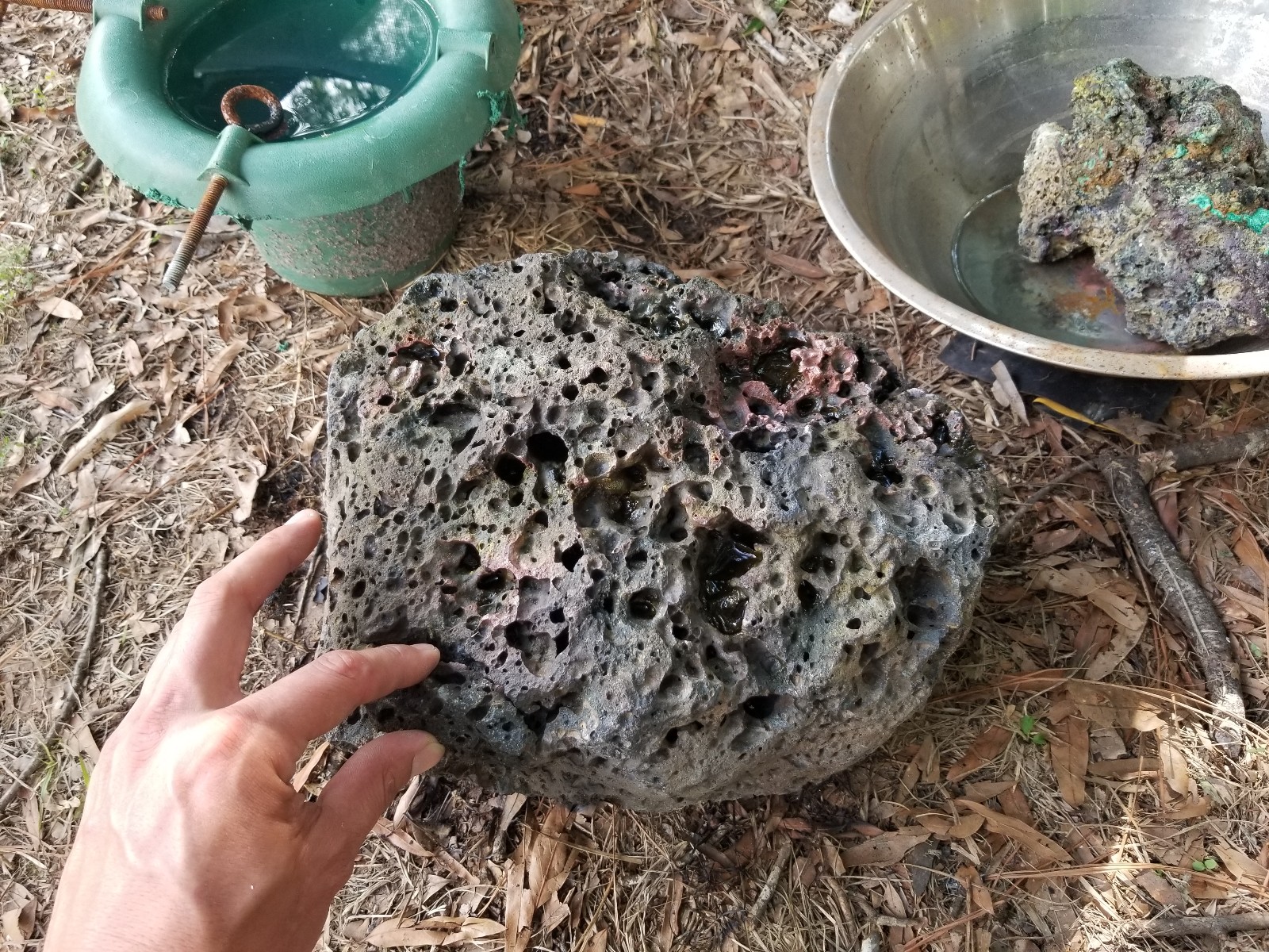 38lb Meteor