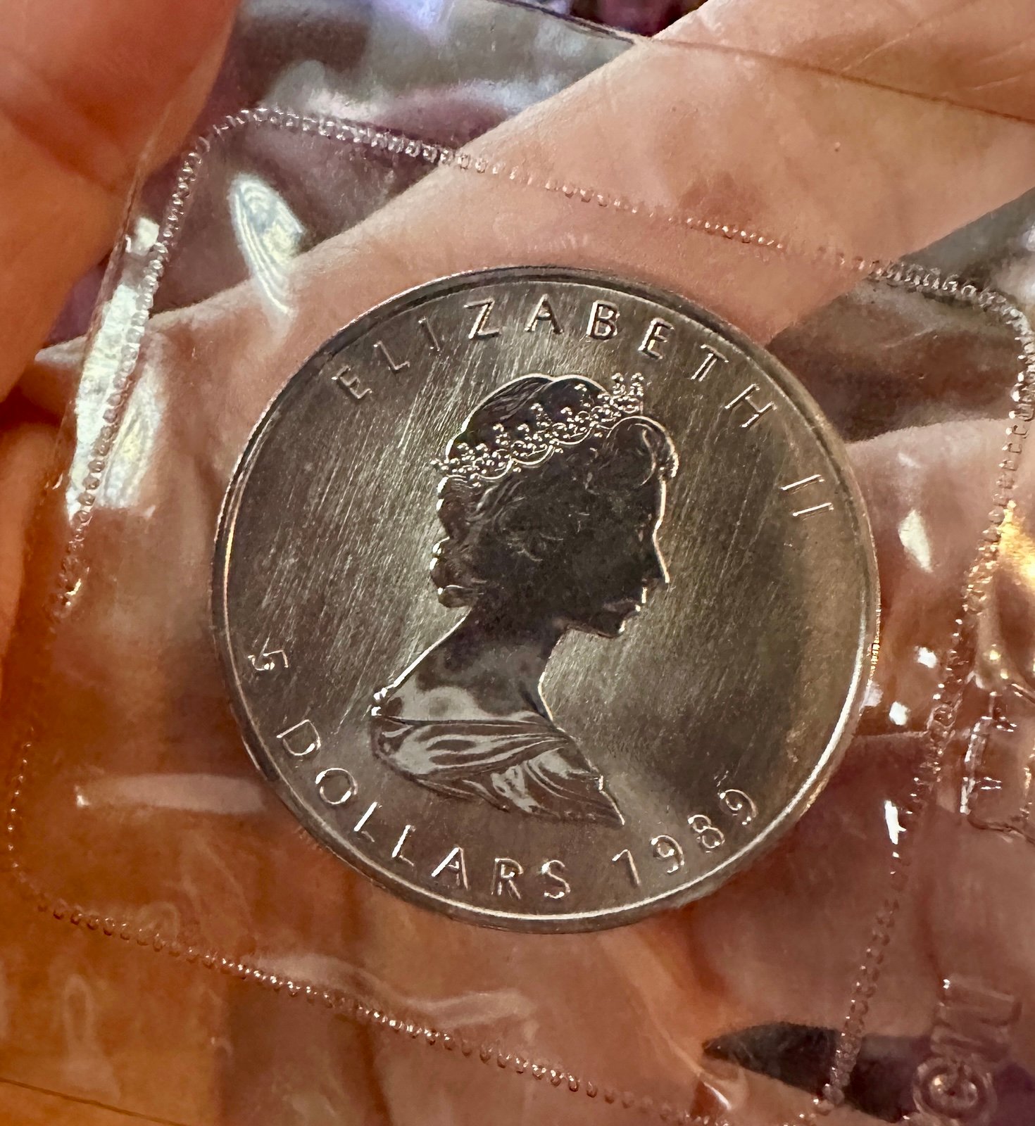 1989 5 Canadian Maple Leaf .9999 Fine Silver Bullion Coin - Elizabeth II