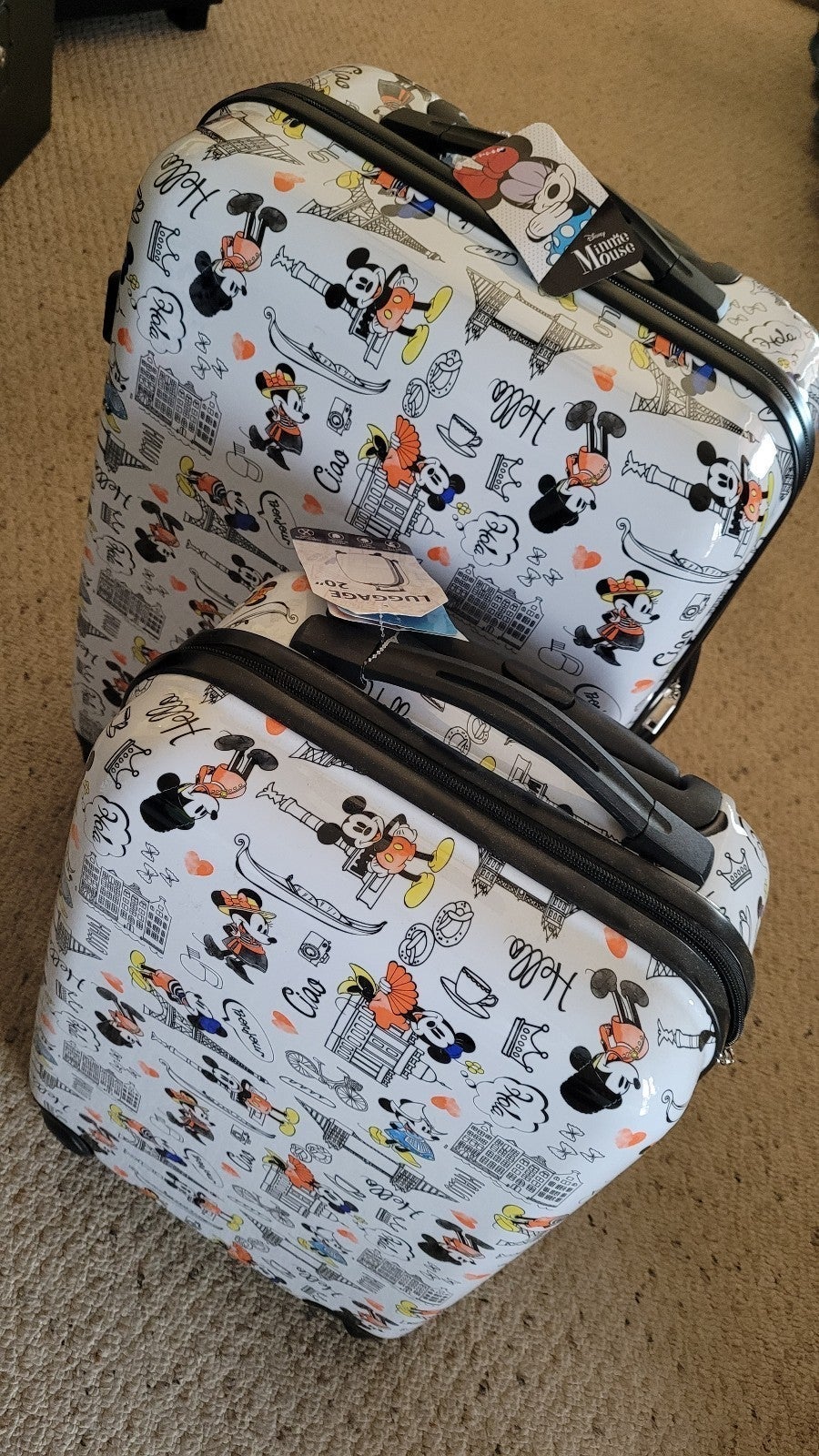 Beautiful Disney Paris print luggage set of two Very spacious!