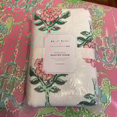 Pottery Barn Teens x Roller Rabbit Rosebud quilted standard sham