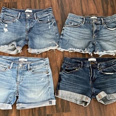 Loft shorts size 25 & 24