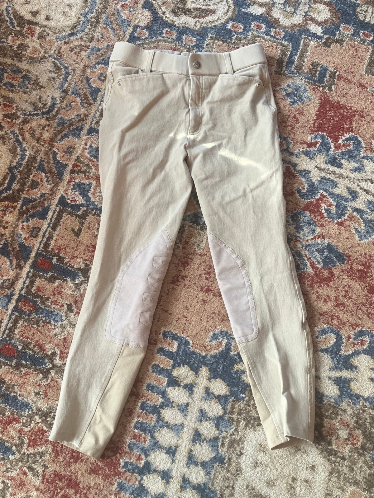 Ariat breeches