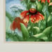 NEW Johanna Axelrod Watercolor Print Indian Blanket Flower 10.5 x14.5 Signed