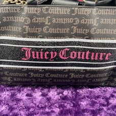 Juicy Couture Purse