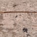 Sunglasses mosley tribes Bronsons