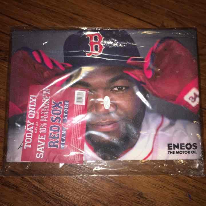 David Ortiz 2016 Red Sox Canvas Painting