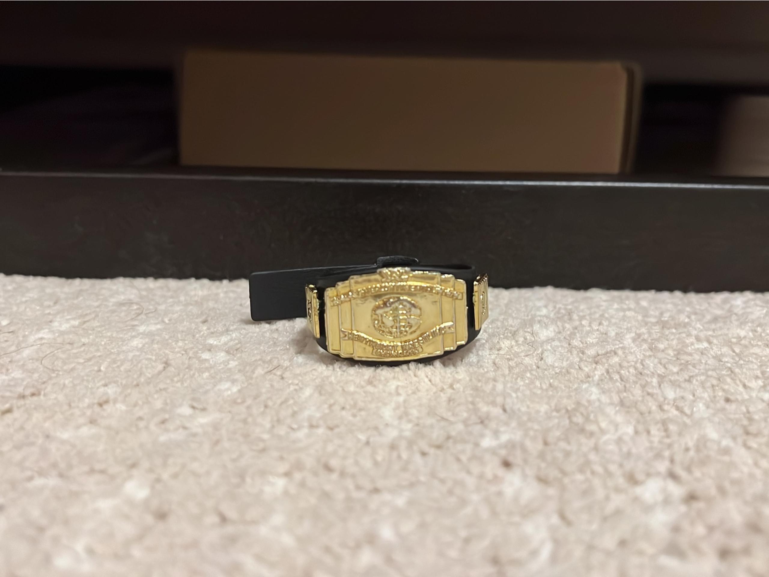 Jakks WWE Classic Intercontinental Championship Belt