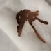 Nui Harime Kill La Kill Enamel Pin LE25