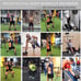 Professional Pilates Toning Bar Kit 60-180Lbs Resistance Bands Full Body